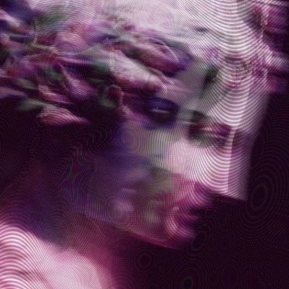 Meet your Posher, Cat - Picture 1 of 1